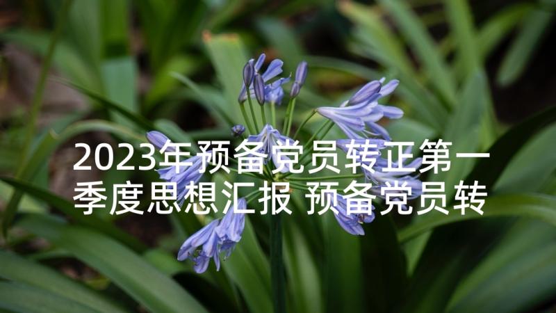 2023年预备党员转正第一季度思想汇报 预备党员转正思想汇报第一季度实用(通用5篇)