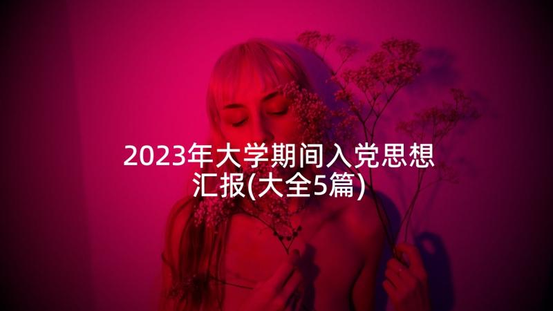 2023年大学期间入党思想汇报(大全5篇)