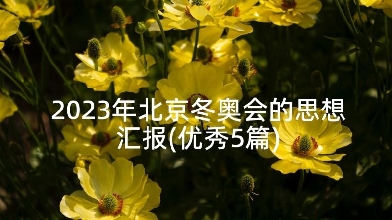 2023年北京冬奥会的思想汇报(优秀5篇)