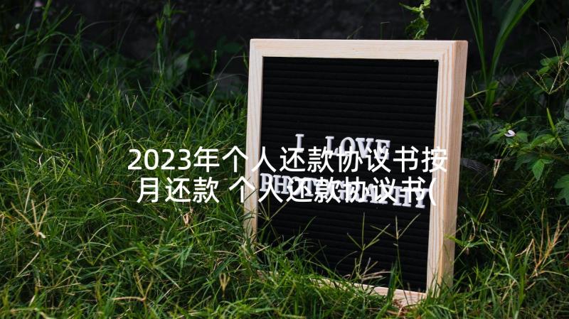 2023年个人还款协议书按月还款 个人还款协议书(实用9篇)