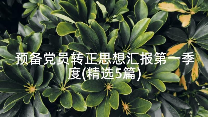 预备党员转正思想汇报第一季度(精选5篇)