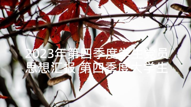 2023年第四季度学生党员思想汇报 第四季度大学生入党思想汇报(汇总8篇)