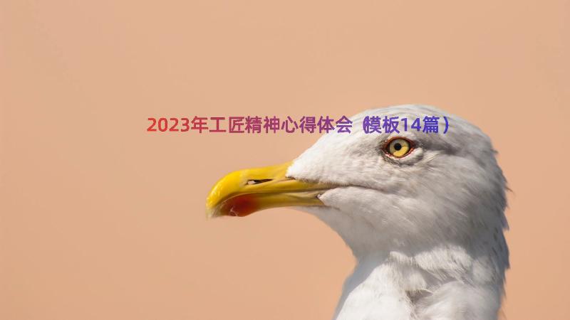 2023年工匠精神心得体会（模板14篇）