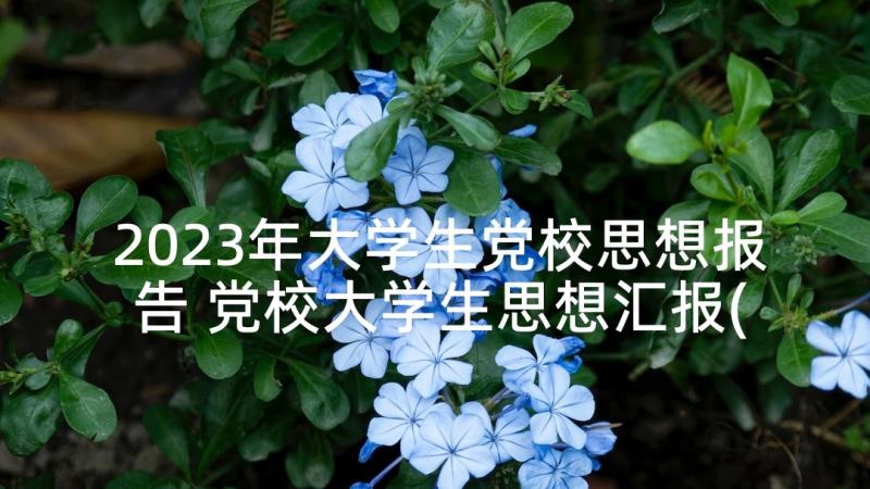 2023年大学生党校思想报告 党校大学生思想汇报(模板5篇)