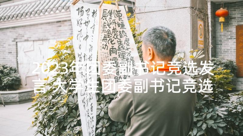 2023年团委副书记竞选发言 大学生团委副书记竞选演讲稿(实用5篇)