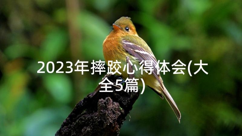 2023年摔跤心得体会(大全5篇)