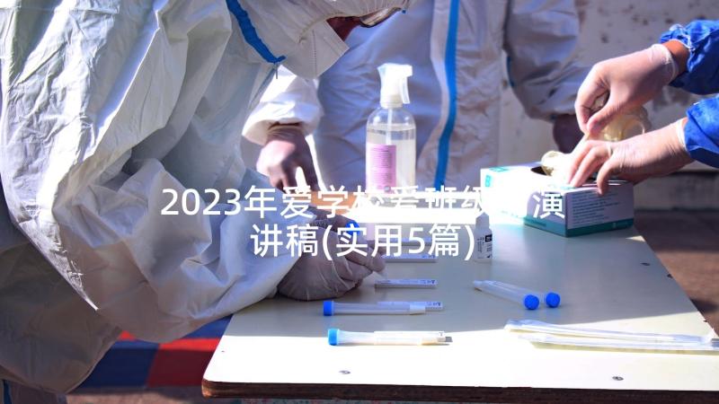 2023年爱学校爱班级的演讲稿(实用5篇)