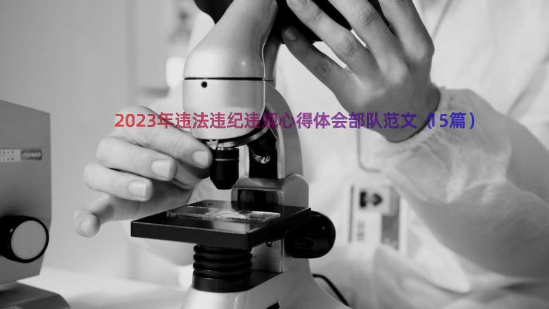 2023年违法违纪违规心得体会部队范文（15篇）