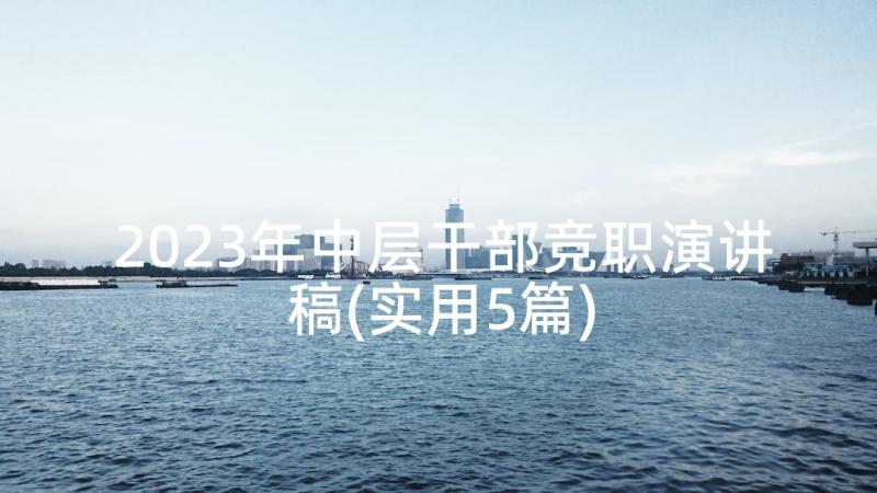 2023年中层干部竞职演讲稿(实用5篇)