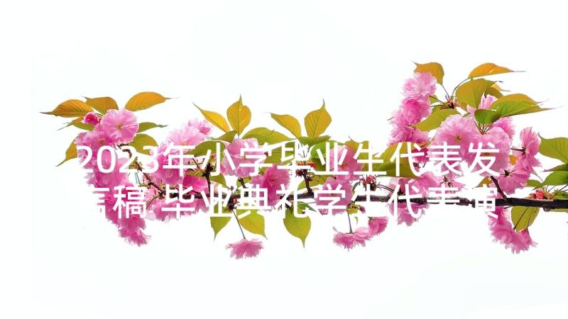 2023年小学毕业生代表发言稿 毕业典礼学生代表演讲稿(模板5篇)