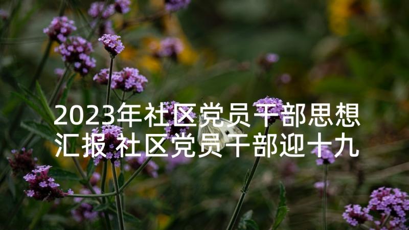 2023年社区党员干部思想汇报 社区党员干部迎十九大思想汇报(精选5篇)