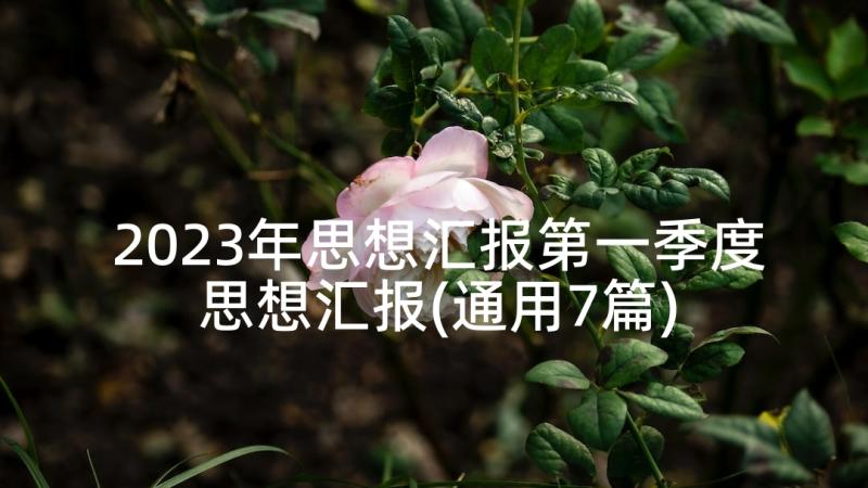 2023年思想汇报第一季度思想汇报(通用7篇)