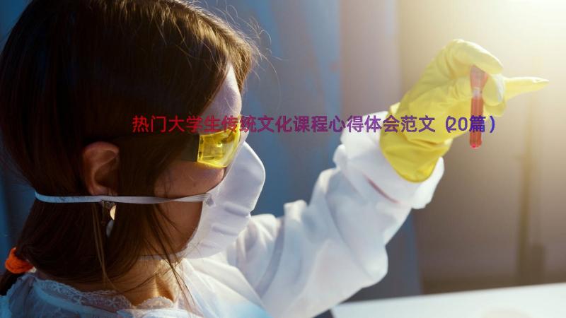 热门大学生传统文化课程心得体会范文（20篇）