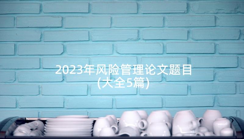 2023年风险管理论文题目(大全5篇)