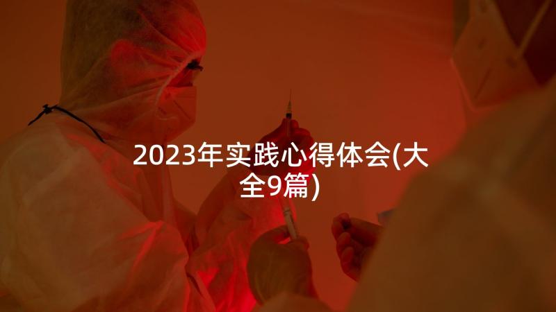 2023年实践心得体会(大全9篇)