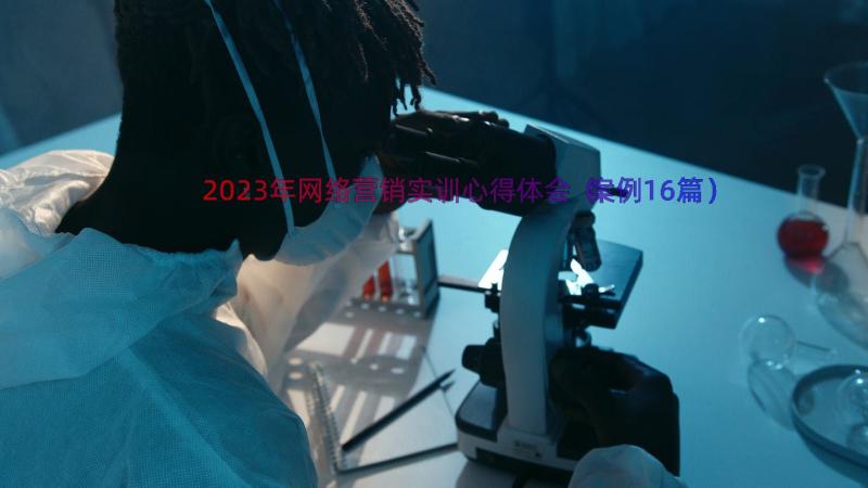 2023年网络营销实训心得体会（案例16篇）