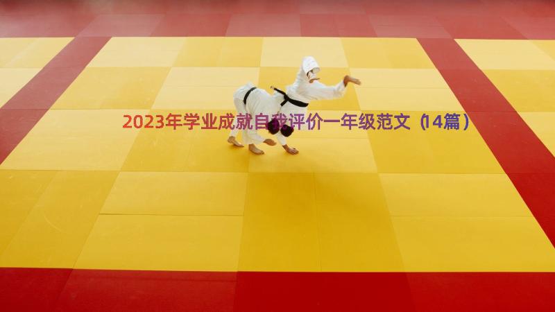 2023年学业成就自我评价一年级范文（14篇）