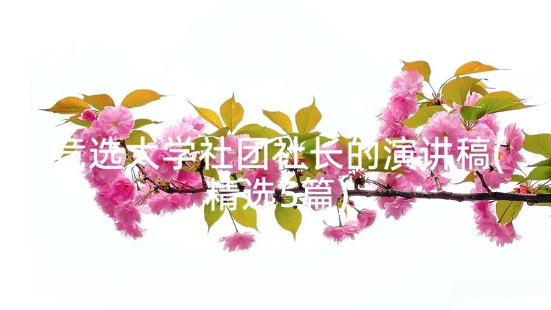 竞选大学社团社长的演讲稿(精选5篇)