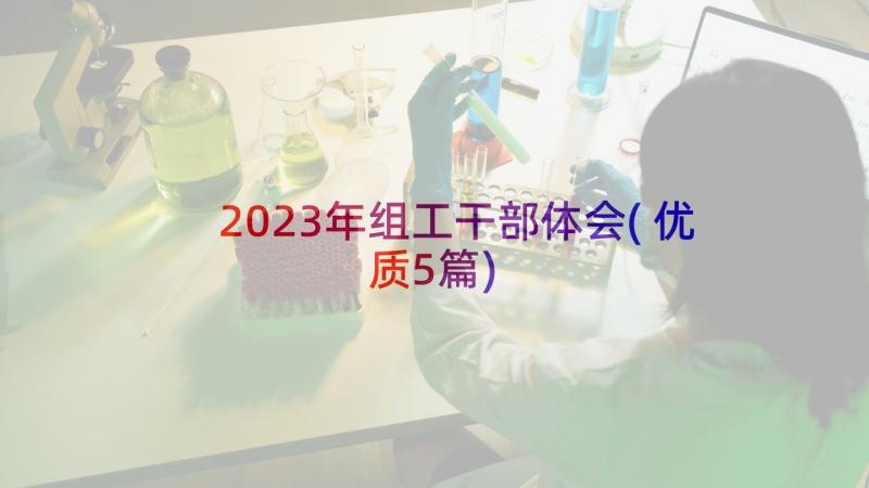 2023年组工干部体会(优质5篇)