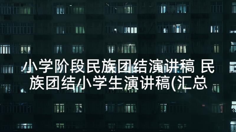 小学阶段民族团结演讲稿 民族团结小学生演讲稿(汇总5篇)