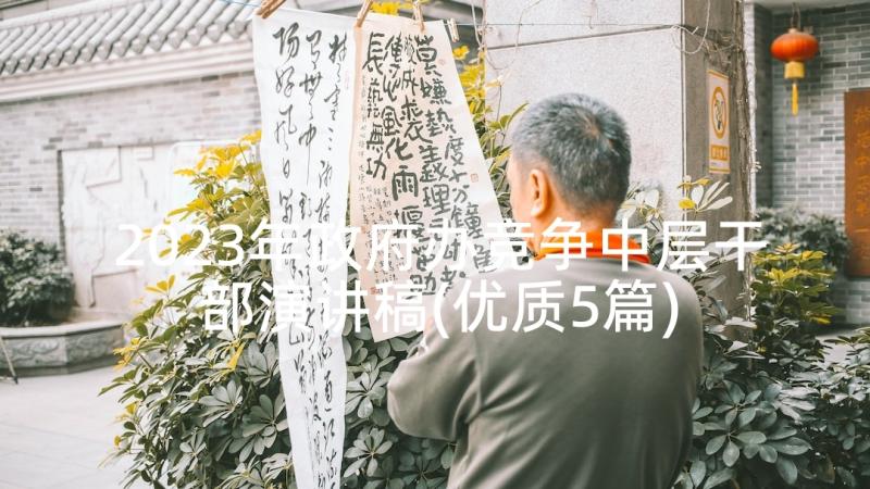 2023年政府办竞争中层干部演讲稿(优质5篇)