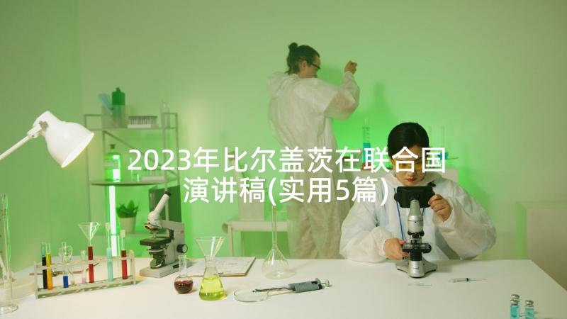 2023年比尔盖茨在联合国演讲稿(实用5篇)