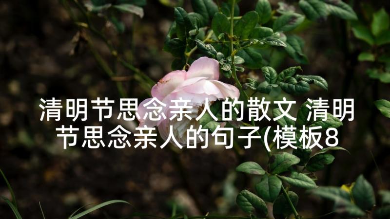 清明节思念亲人的散文 清明节思念亲人的句子(模板8篇)