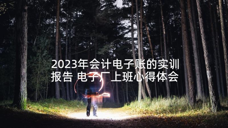 2023年会计电子账的实训报告 电子厂上班心得体会(通用8篇)