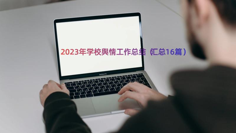 2023年学校舆情工作总结（汇总16篇）