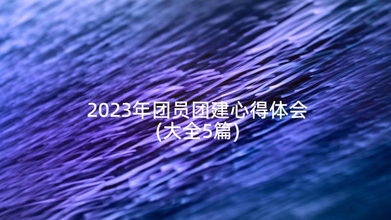 2023年团员团建心得体会(大全5篇)