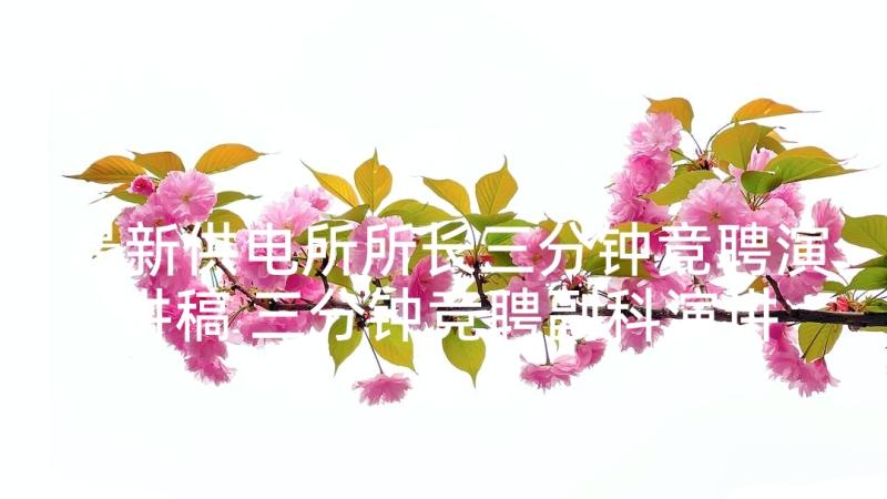 最新供电所所长三分钟竞聘演讲稿 三分钟竞聘副科演讲稿(优质6篇)