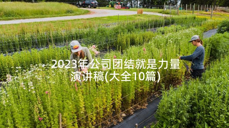 2023年公司团结就是力量演讲稿(大全10篇)