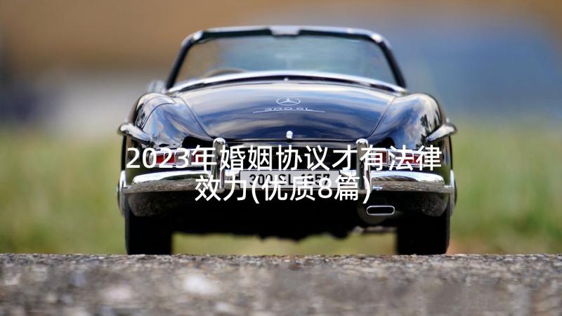 2023年婚姻协议才有法律效力(优质8篇)