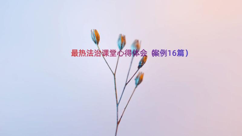 最热法治课堂心得体会（案例16篇）