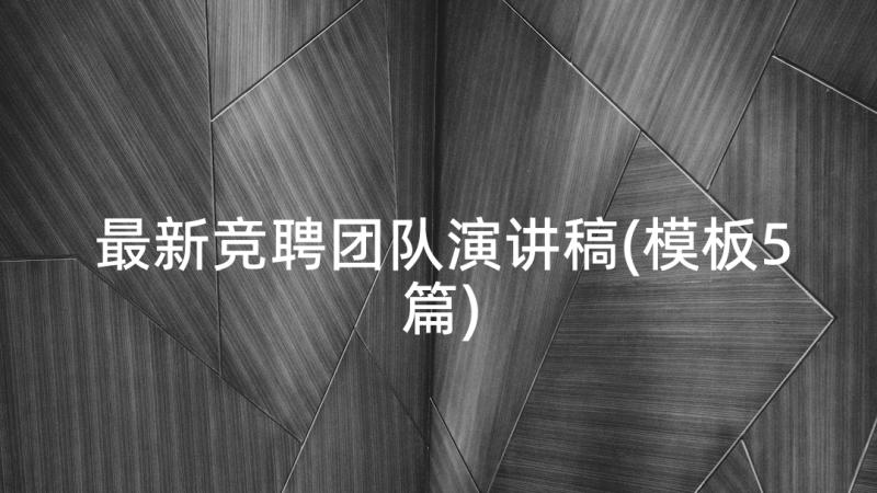 最新竞聘团队演讲稿(模板5篇)