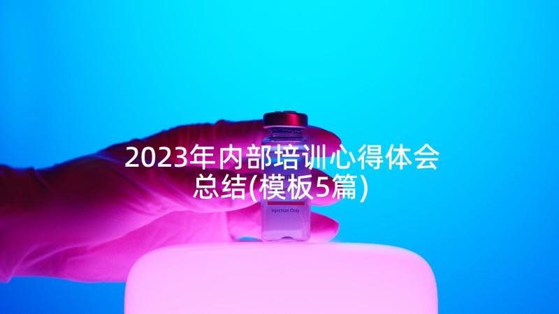 2023年内部培训心得体会总结(模板5篇)