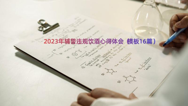 2023年辅警违规饮酒心得体会（模板16篇）