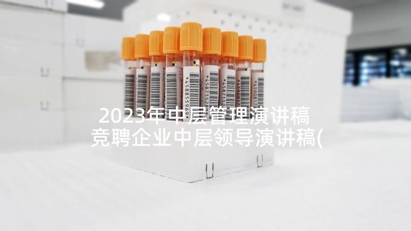 2023年中层管理演讲稿 竞聘企业中层领导演讲稿(优秀6篇)