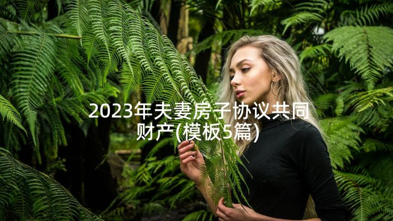 2023年夫妻房子协议共同财产(模板5篇)