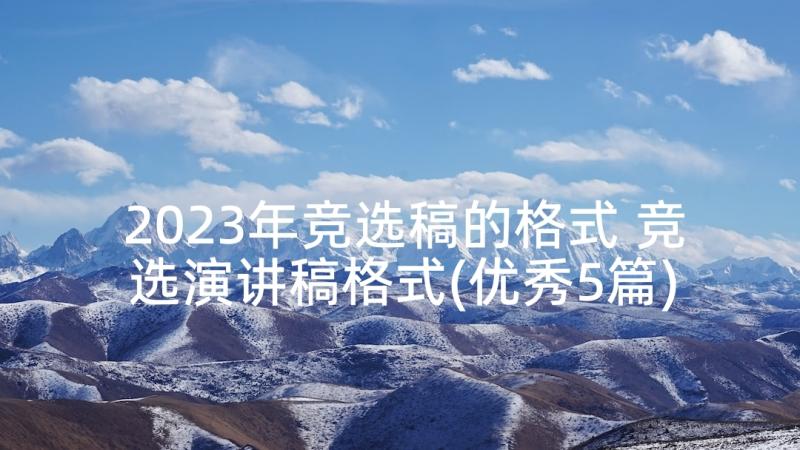 2023年竞选稿的格式 竞选演讲稿格式(优秀5篇)