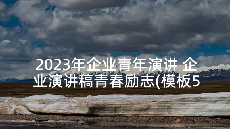 2023年企业青年演讲 企业演讲稿青春励志(模板5篇)