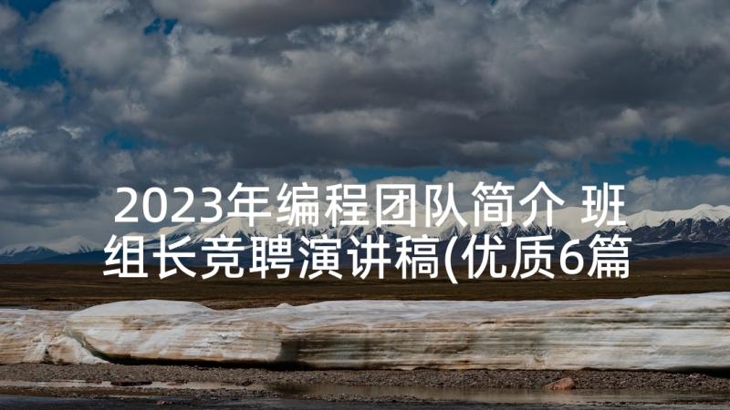 2023年编程团队简介 班组长竞聘演讲稿(优质6篇)