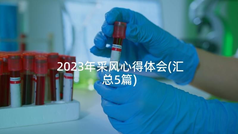 2023年采风心得体会(汇总5篇)