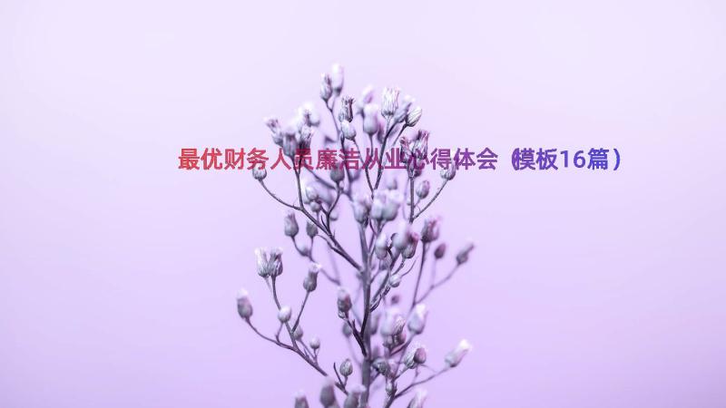 最优财务人员廉洁从业心得体会（模板16篇）