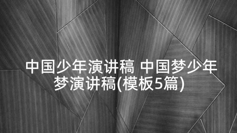 中国少年演讲稿 中国梦少年梦演讲稿(模板5篇)