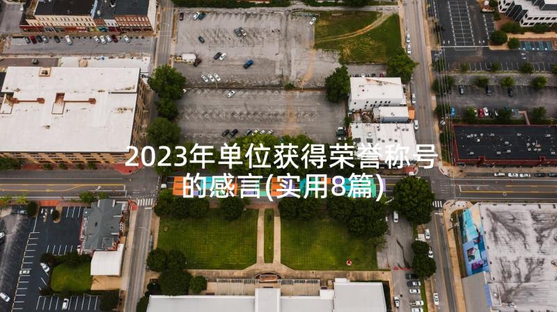 2023年单位获得荣誉称号的感言(实用8篇)