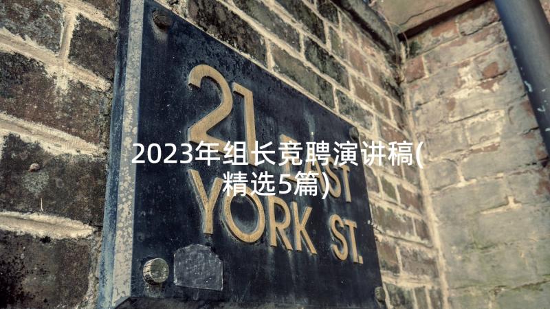 2023年组长竞聘演讲稿(精选5篇)