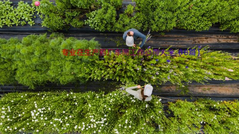 专业在生产药厂车间工作心得大全（18篇）