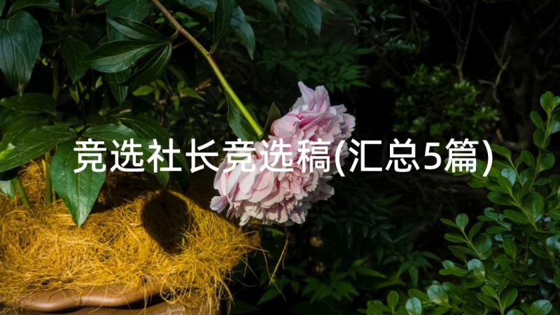 竞选社长竞选稿(汇总5篇)