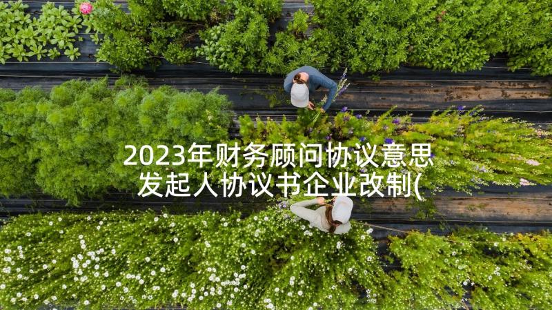 2023年财务顾问协议意思 发起人协议书企业改制(大全5篇)